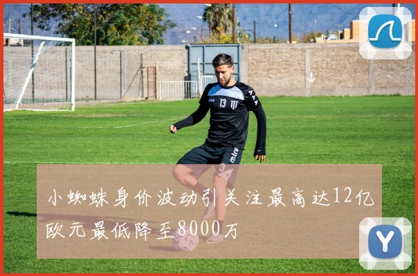 小蜘蛛身价波动引关注最高达12亿欧元最低降至8000万