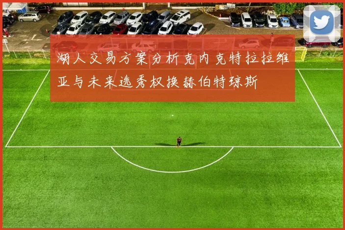 湖人交易方案分析克内克特拉拉维亚与未来选秀权换赫伯特琼斯